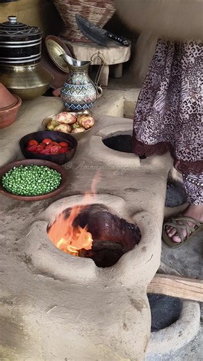 Chicken Mince Potato Pea Curry Recipe | Village Girl Cooking