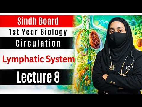 Lymphatic System in Urdu 😱 | Lymph, Lymph Nodes & Vessels 💉 | Anatomy & Physiology Class 11 🔥