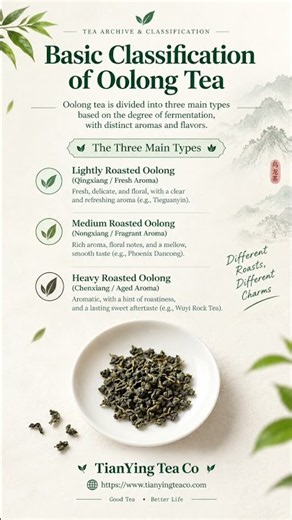The Ultimate Chinese Oolong Tea Guide: From Terroir to Your Teacup! 🍵✨