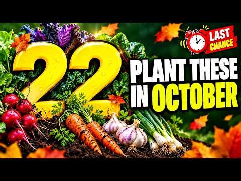 22 Vegetables To Plant In October Before It's Too Late
