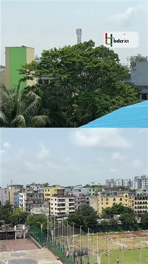 রোদ ঝলমলে মিরপু্রের সকাল, দারুণ আবহাওয়া; ঠিক সময়ে খেলা গড়ানোর আশা #banvsnz #bangladeshcricket