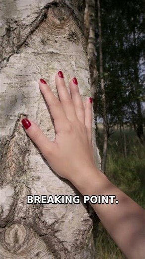 Exploding Trees: Winter's Silent Threat #Shorts