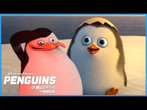 The Best Of Penguin Private🐧🌟 | DreamWorks Madagascar