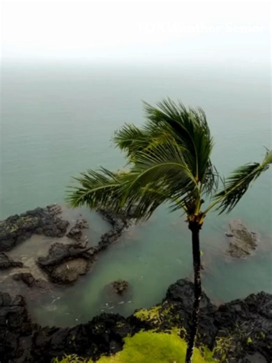 IT BEGINS 🌧️: Hawaii has started seeing wet weather as residents brace for another round of severe conditions this week, as Tropical Storm Moke targets the islands with a flood threat. #Hawaii #Flooding #Rain #Severewx #FOXWeather