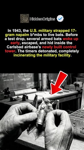 WW2’s Wildest Secret: The Bats Strapped With Napalm 🦇