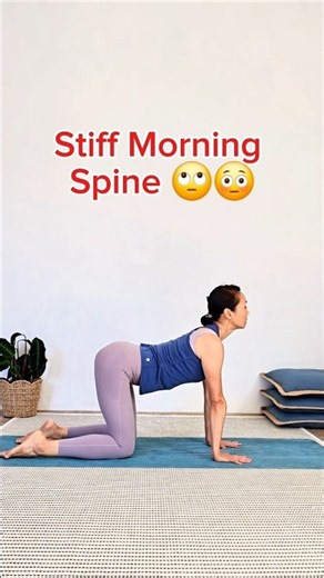 Over 50/60, Stiff Morning Spine? Do this before coffee ☕️ #gentleyoga #stiffjoints #senioryoga