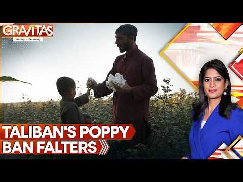 From Hunger to Heroin, Afghanistan’s Opium Crisis Threatens the World Again | GRAVITAS