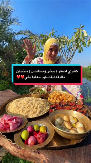 والله ما في احلي من البساطة صنيه غداء من ايام زمان ❤️🌿 كشري اصفر وبيض وبطاطس وبتنجان بالدقه اتفضلوا معانا بقي 🥰