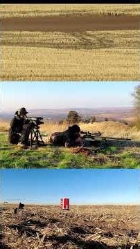 505 Gibb's v Soup Can at 1 +Mile