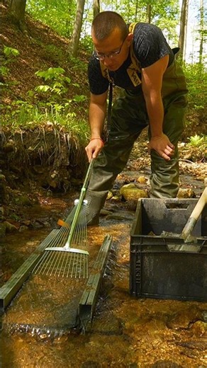 How to find GOLD in a forest stream 🌲 Deep cleaning the sluice! #goldpanning #asmr