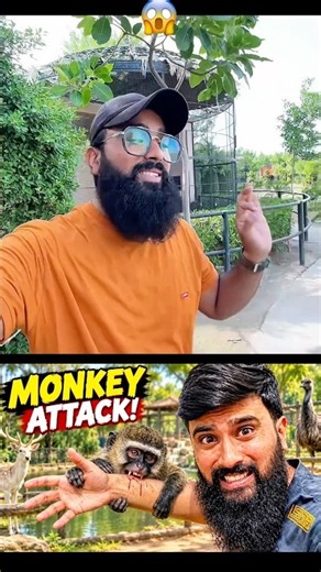 Exploring the Zoo 🦁🐒 | Amazing Animals & Wildlife Adventure! #Shorts