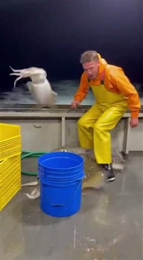 Shocking Night Fishing Boat Scene with Giant Cuttlefish