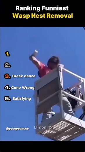 Ranking Funniest Wasp Nest Removal #fails #shorts #funny