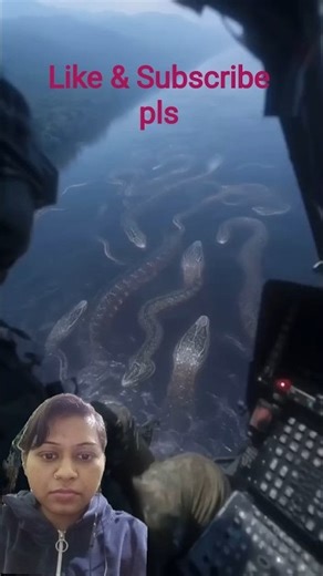 #anaconda #snake #ocean #amazing #amazonjungle #viral #viralvideo #youtubeshorts #ytshorts #facts