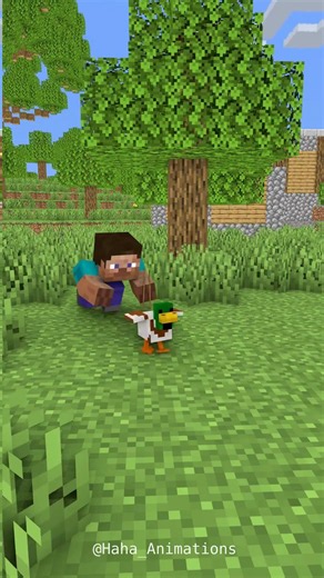 Steve’s chase after the unruly egg