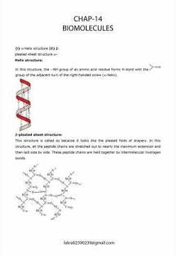 BIOMOLECULES EXERCISE SOLUTION; CARBOHYDRATES; PROTEINS ENZYMES; VITAMINS; DNA & RNA; disaccharide;