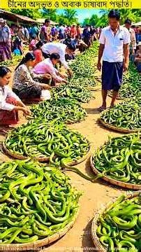 China’s Most Bizarre Farming Methods!