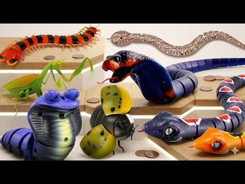 I Bought EVERY Realistic RC Snake & Insect! (ASMR Invasion)