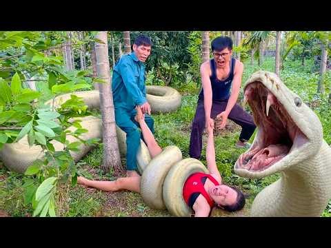 2 Brave Hunters Catch Giant White Python by Bare Hand Saving a Young Girl Life