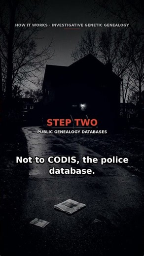 How a 61-year-old murder gets solved — in 4 steps How police crack a cold case in 2026 #truecrime