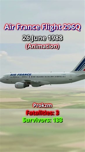 Plane Crash Animation vs Real Life (Part 6) #aviation #aviationdisaster #caughtoncamara #planecrash
