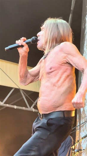 🔥👕 Red Hot Chili Peppers’ Old Friend – Iggy Pop – his bones remember things your heart forgot