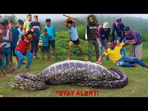 Giant Python Attacks Hunters Real Life Horror!