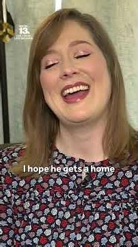 Adorable video shows four-eared cat in Alabama