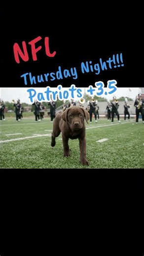 Great NFL Thursday night game with the Chicago Bears hosting the New England Patriots! #nfl #sports