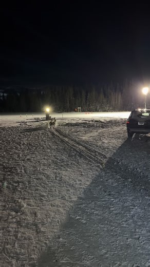 #28 Justin Olnes in at Chistochina | Copper Basin 300 Sled Dog Race