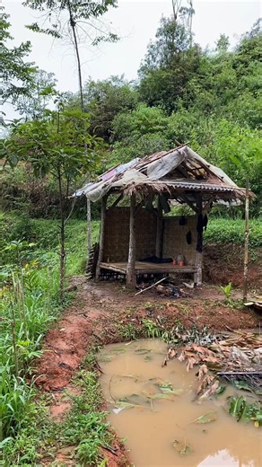 A Quiet Day in the Woods: No Talking, Just Nature ASMR #asmr #cabinbliss #rainsounds