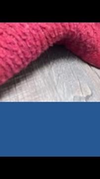 Turner man offers reward to find person who may have shot his dog