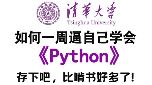 【全600集】2026年B站最全Python全套教程（包含爬虫+数据分析），一周从入门到精通Python，学完即可就业！看完这一套Python教程就够了！