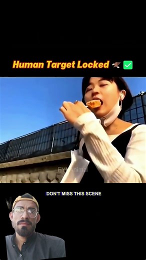 falcon attack human watch this #trending #animals #animalvideos