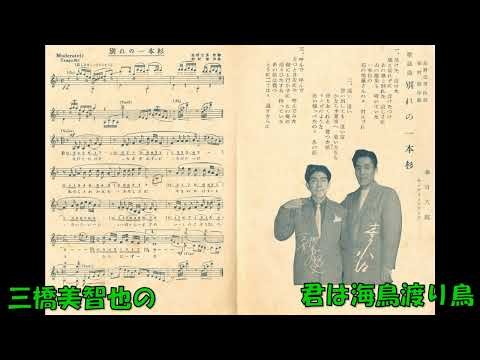 三橋美智也の 君は海鳥渡り鳥 (オリジナル袋付き再アップ)