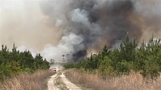 Wildfires tear through Southeast US, destroy homes and force evacuations