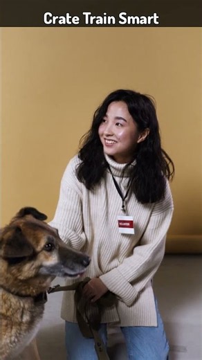 Dog Tip / Crate Training for Puppies