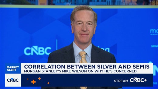 Morgan Stanley's Michael Wilson: Semis are the latest commodity to boom this year