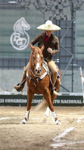 LXXXII Congreso y Campeonato Nacional Charro San Luis Potosí 2026 #charreria