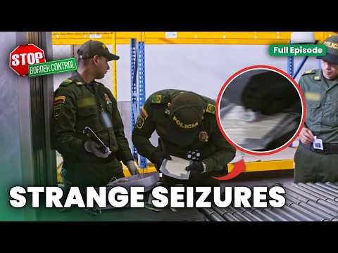 Stolen Cars & Drugs Exposed at Borders | STOP! Border Control: Latin America