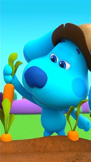 Blue Sings About Gardening & Picking Veggies on the Farm! 🥕🍅