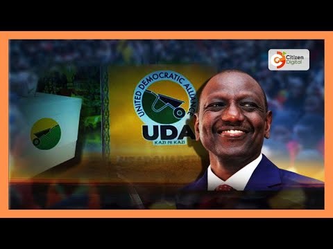 UDA grassroots elections