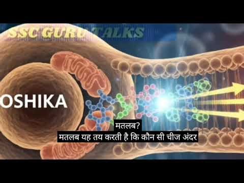 Biology koshika cell /#facts #biologyclass January 2026