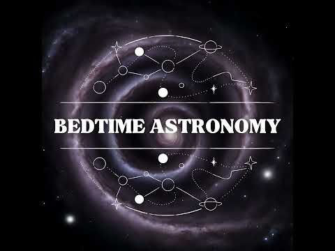 Alien Life Beyond Water: Could Exotic Chemistry Support Complex Organisms?