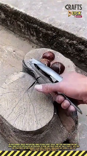 Fast Chestnut Shell Cracking Using a Stainless Steel Hand Press Tool #tools