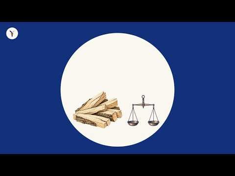 Why does a supply shock hurt twice? | Macroeconomics and Policy 9