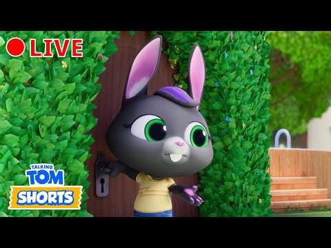 The Mystery Door 😮🔒 Talking Tom Shorts | LIVE Cartoons for Kids