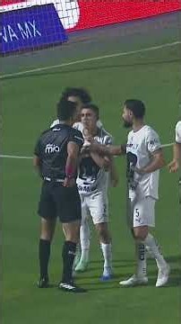 MINI RESUMEN: Santos vs. Pumas #shorts