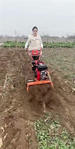 MiniTiller Agriculture Agricultural Machinery Garden Machinery Diesel 4WD, Gasoline 4WD Weeder