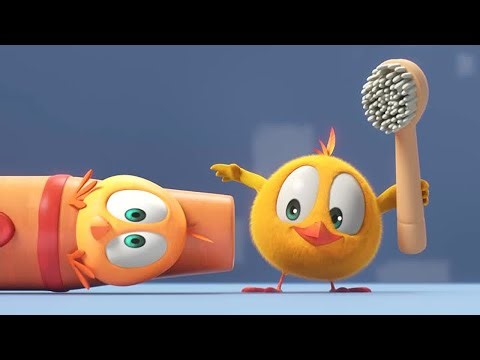 The Chicky Toothbrush | Where's Chicky? | Cartoon Collection in English for Kids | New episodes